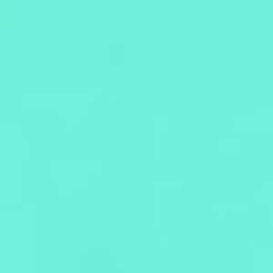 Meet your Posher, Sidney